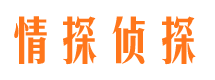 通河侦探